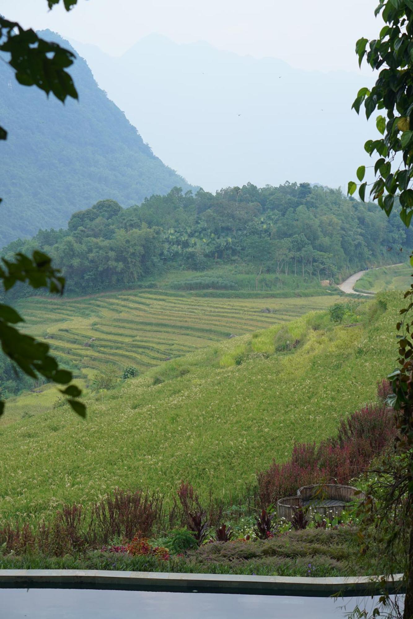 Pu Luong Natura Εξωτερικό φωτογραφία